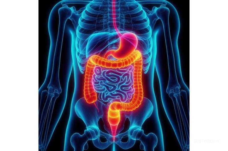 南开大学团队发现肿瘤微生物群可预测胃肠道癌症转移风险