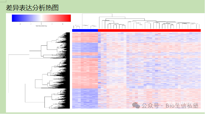 全球炸锅!国内“天才少年”独自发Nature,助力生物医药领域再攀高峰!-肽度TIMEDOO
