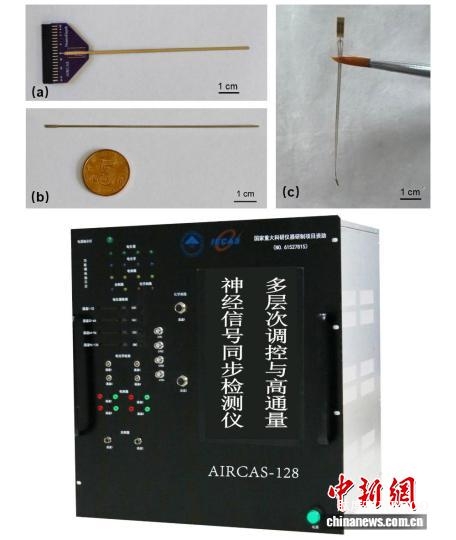 我国脑机接口临床试验成功 实现脑深部肿瘤精准定位-肽度TIMEDOO