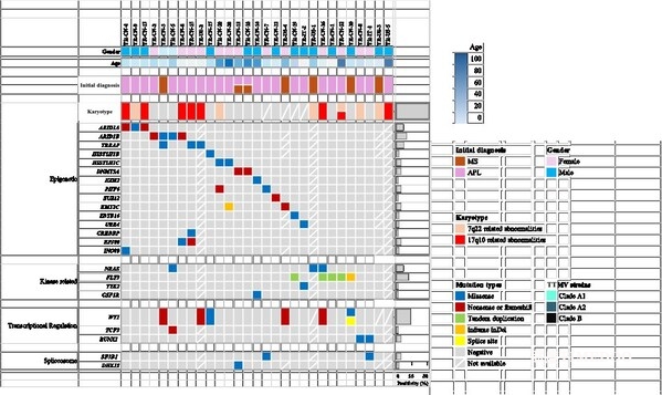引领白血病研究新突破：陆道培分子医学团队携多中心成果亮相《Blood》-肽度TIMEDOO