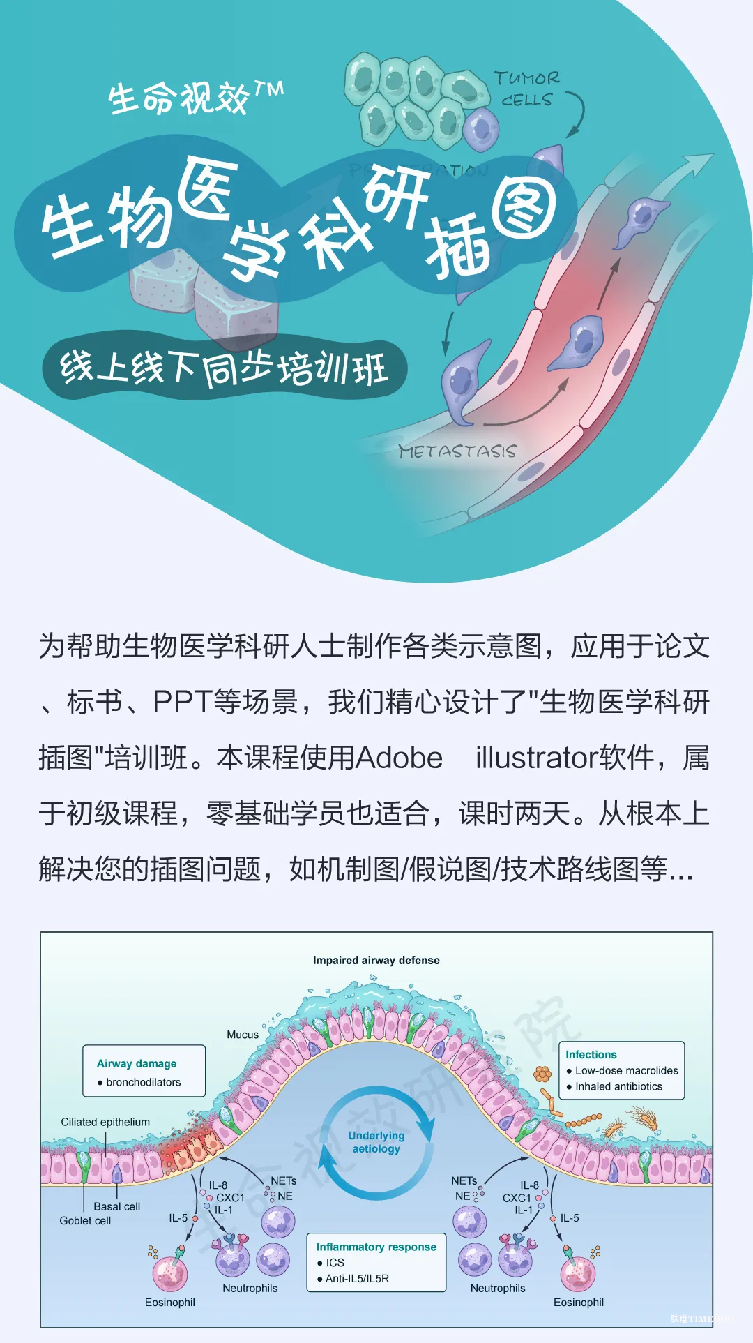 想自由创作精美的科研插图吗？专业的培训班来了|10月18-19日-肽度TIMEDOO