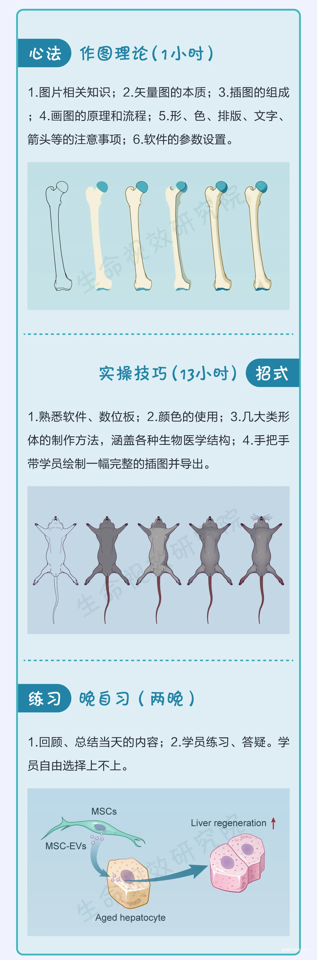 想自由创作精美的科研插图吗？专业的培训班来了|10月18-19日-肽度TIMEDOO