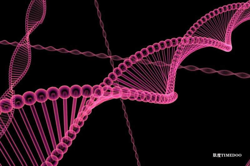 研究发现：结直肠癌拥有独特的“微生物指纹”