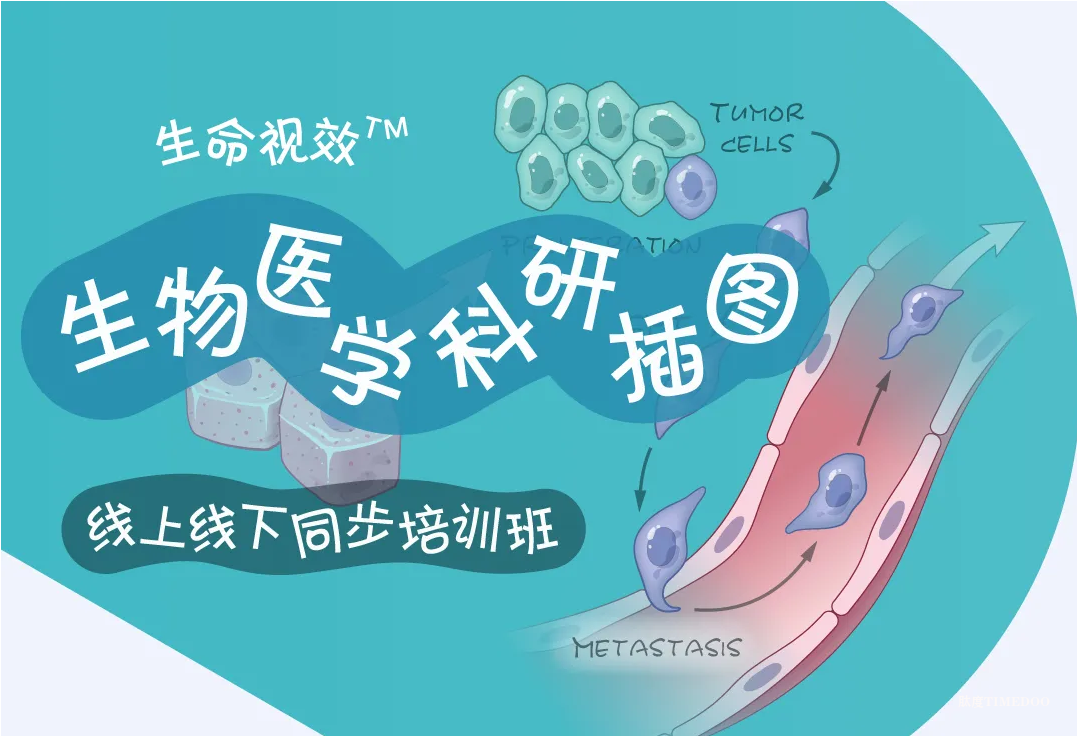 想自由创作精美的科研插图吗？专业的培训班来了|10月18-19日