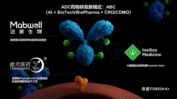 迈威生物、英矽智能、皓元医药达成战略合作协议,高效推进 ADC 药物的创新和开发-肽度TIMEDOO