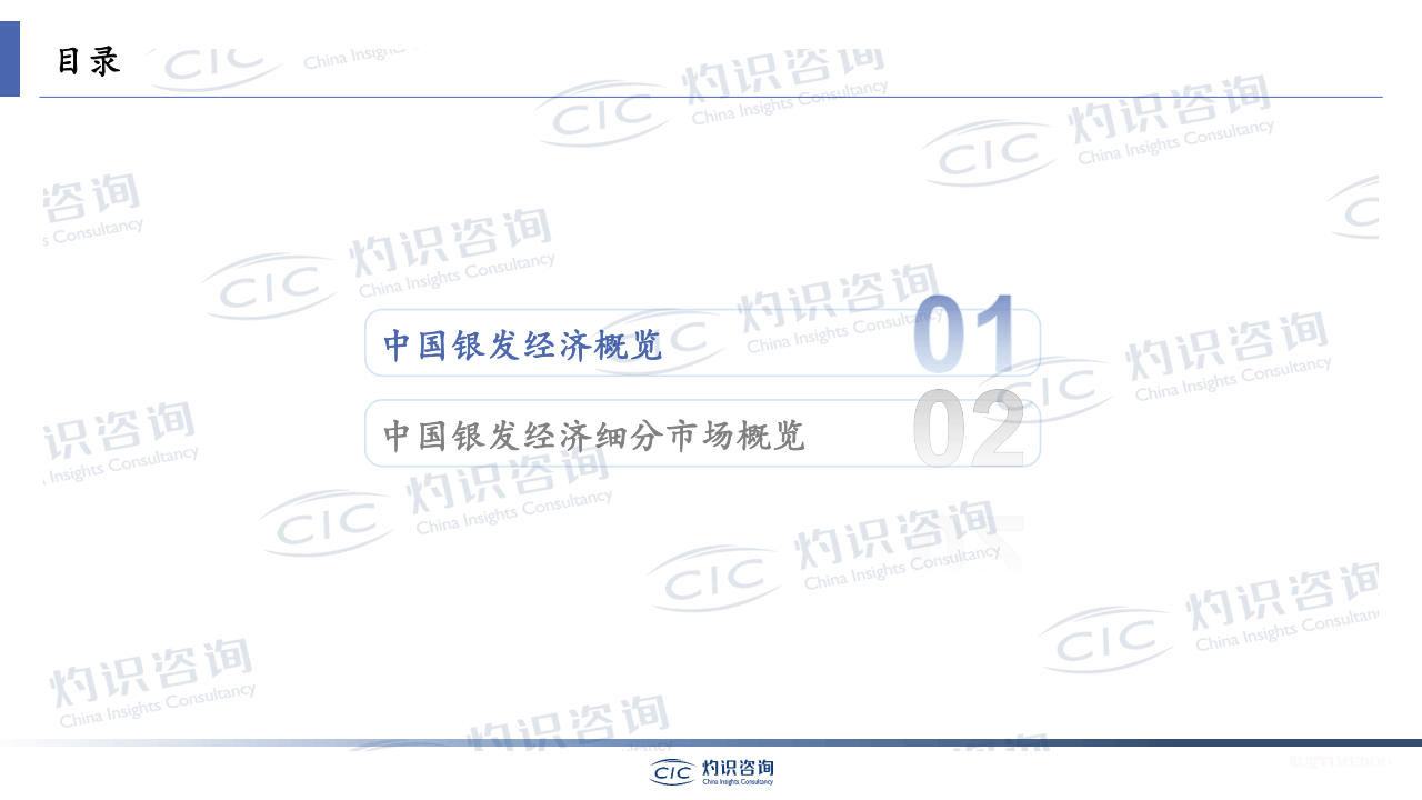 2025银发经济蓝皮书-肽度TIMEDOO