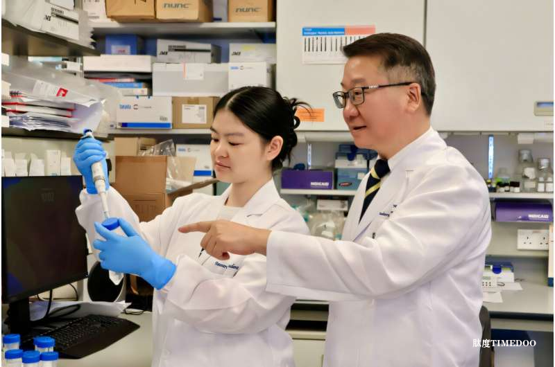 香港大学研究揭示：橄榄油中的健康脂肪可增强免疫系统抗癌能力