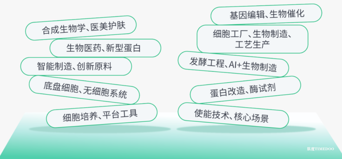 2025年11月26-27日·合肥·BioONE2025第七届生物制造产业年度峰会 -肽度TIMEDOO