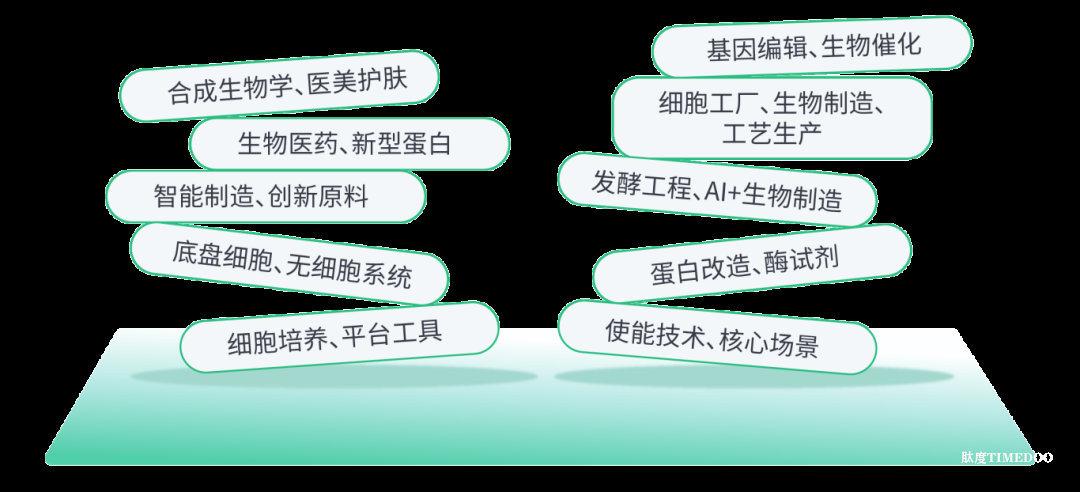 undefined 2025年11月26-27日·合肥·BioONE2025第七届生物制造产业年度峰会-肽度TIMEDOO