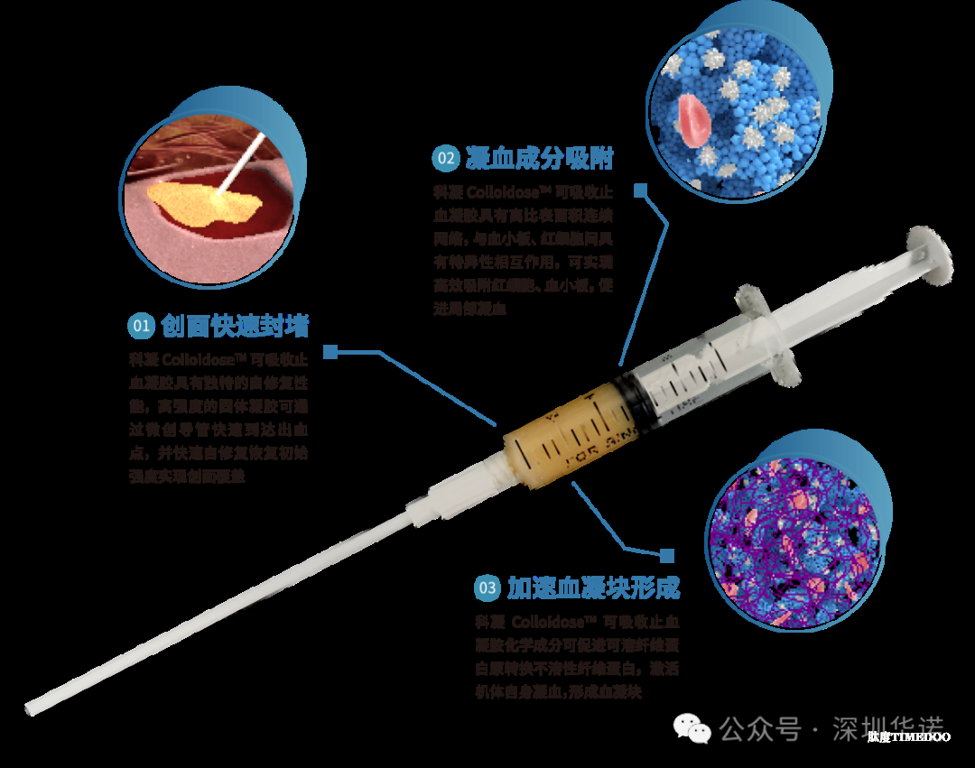 华诺生物完成数千万元A+轮融资,国中资本领投-肽度TIMEDOO