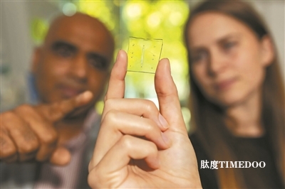 内置免疫系统的微型“肺芯片”问世