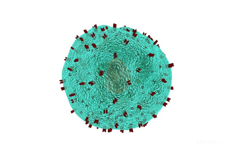 我国科学家率先验证：体内mRNA生成CAR-T细胞，有望为难治性红斑狼疮带来新疗法