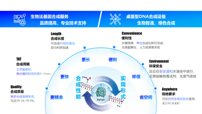 双击查看原图 专注生物法DNA合成技术,中合基因完成数千万元PreA+轮融资-肽度TIMEDOO