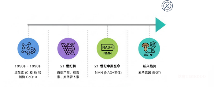 口服麦角硫因:生物制造、市场应用及未来展望-肽度TIMEDOO