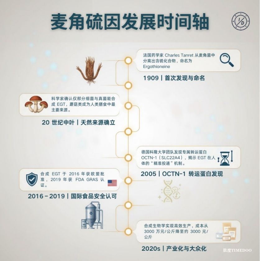 口服麦角硫因:生物制造、市场应用及未来展望-肽度TIMEDOO