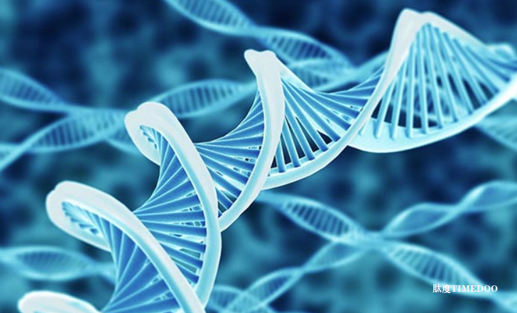 Third Rock Ventures 支持的隐形公司选择 Parse Biosciences GigaLab 平台，构建全球最大规模常见自身免疫性疾病 TCR 图谱