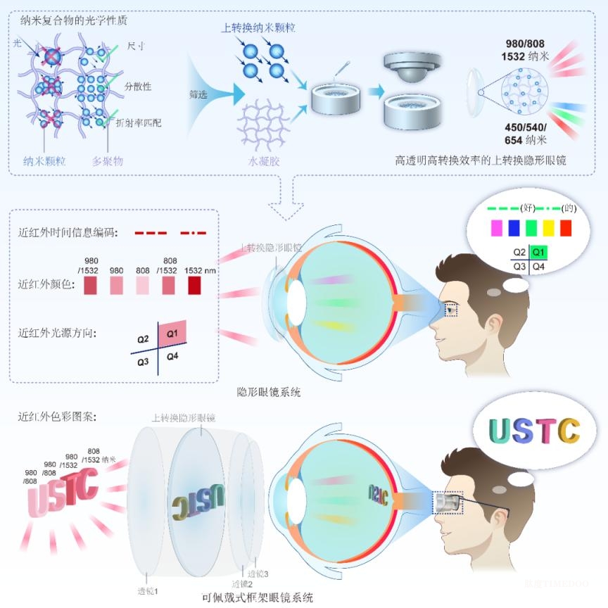 2025年度中国生命科学十大进展公布-肽度TIMEDOO