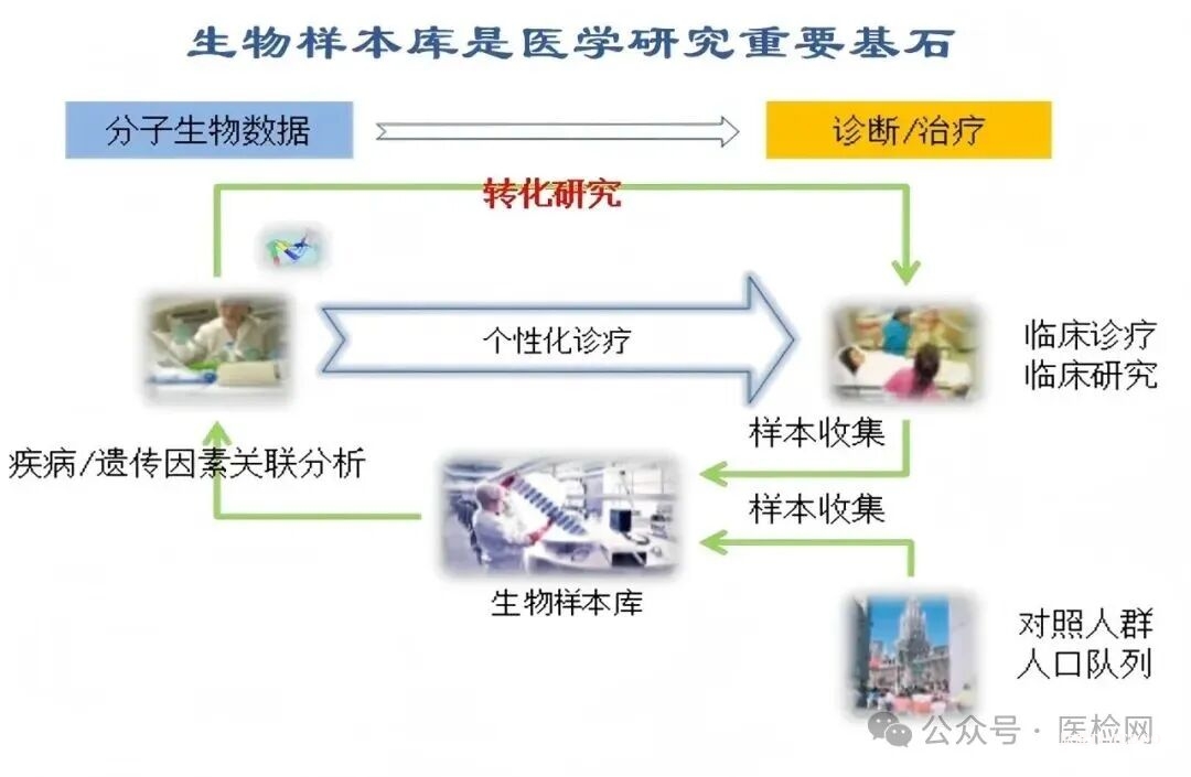「钱塘精韧」第一届样本库高级实践培训班在浙江肿瘤医院生物样本库举办，教你生物样本库合规运营 + CNAS 认可 + 实操全拿捏-肽度TIMEDOO