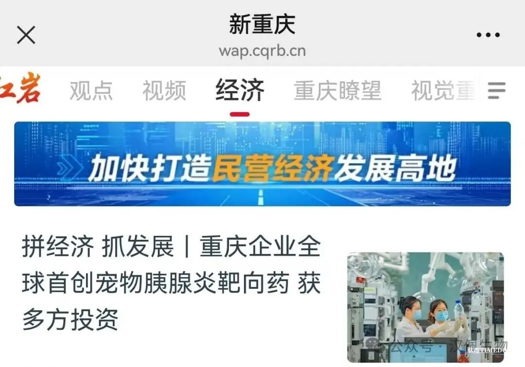 汉佩生物完成千万元级融资-肽度TIMEDOO