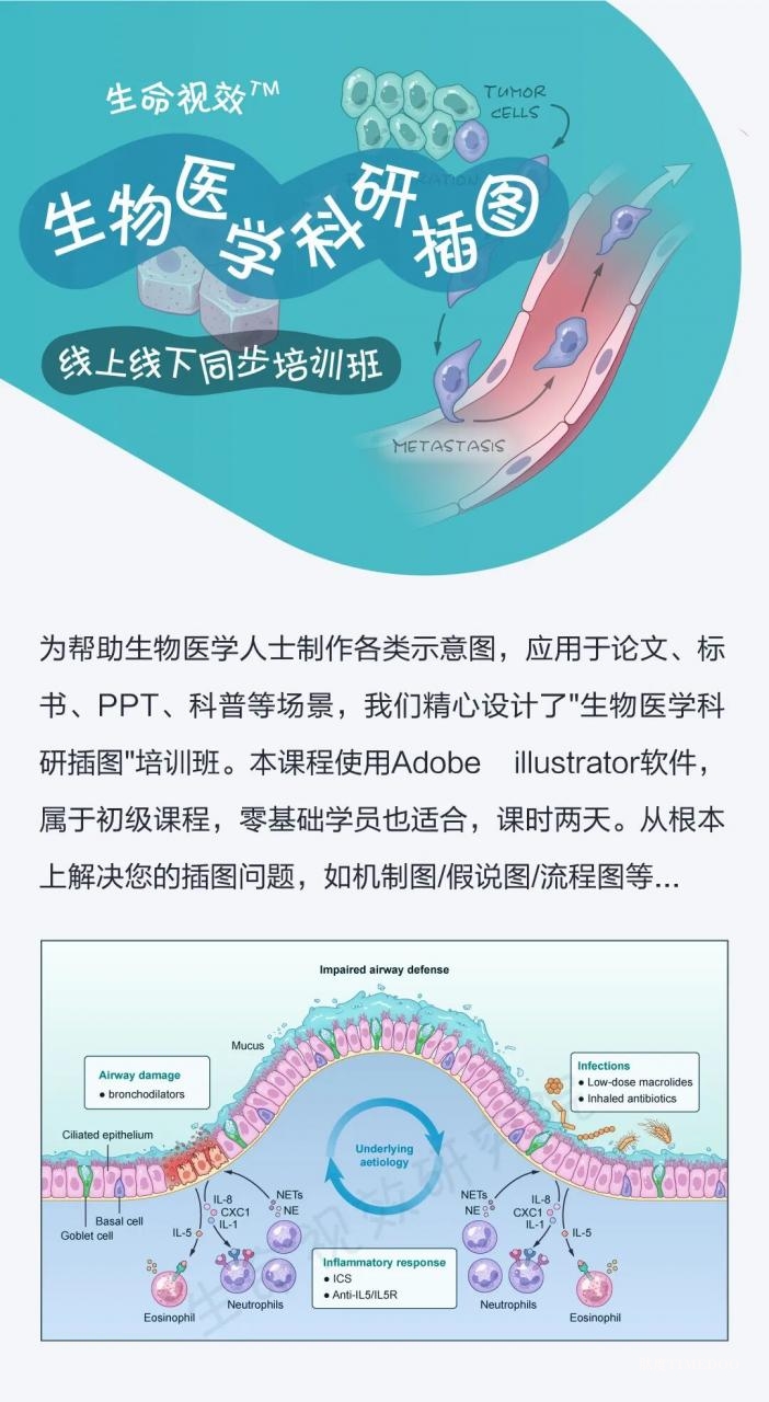 2026年1月17-18日·武汉·生物医学插图培训班（线上线下同步）-肽度TIMEDOO