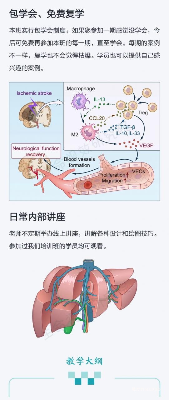 2026年1月17-18日·武汉·生物医学插图培训班（线上线下同步）-肽度TIMEDOO