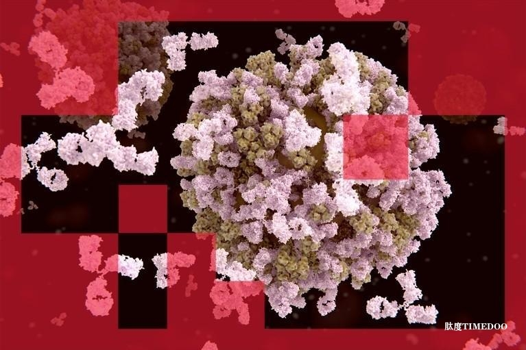 AI辅助抗体设计进入快车道 药物安全问题仍需进一步验证