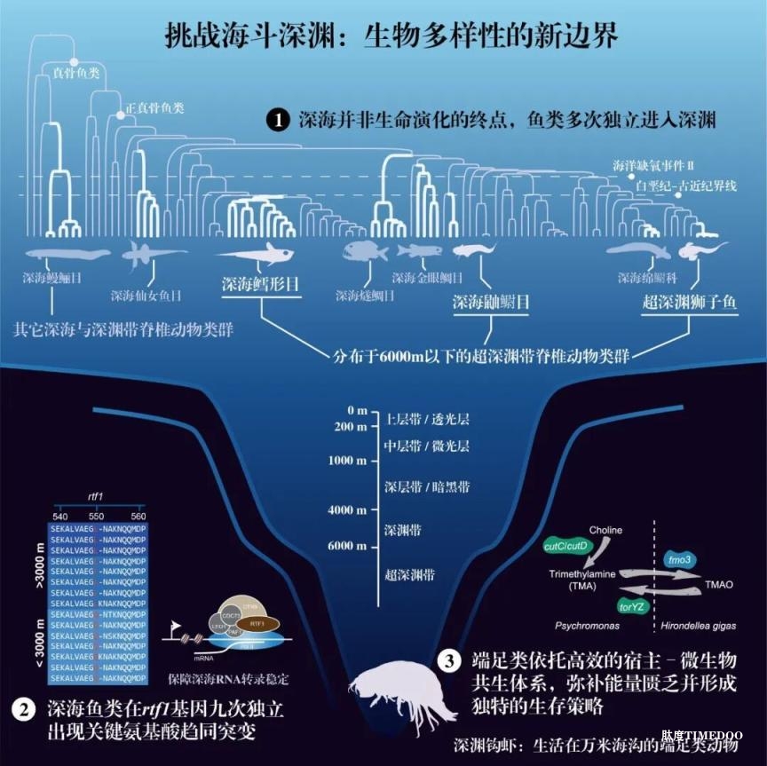 2025年度中国生命科学十大进展公布-肽度TIMEDOO