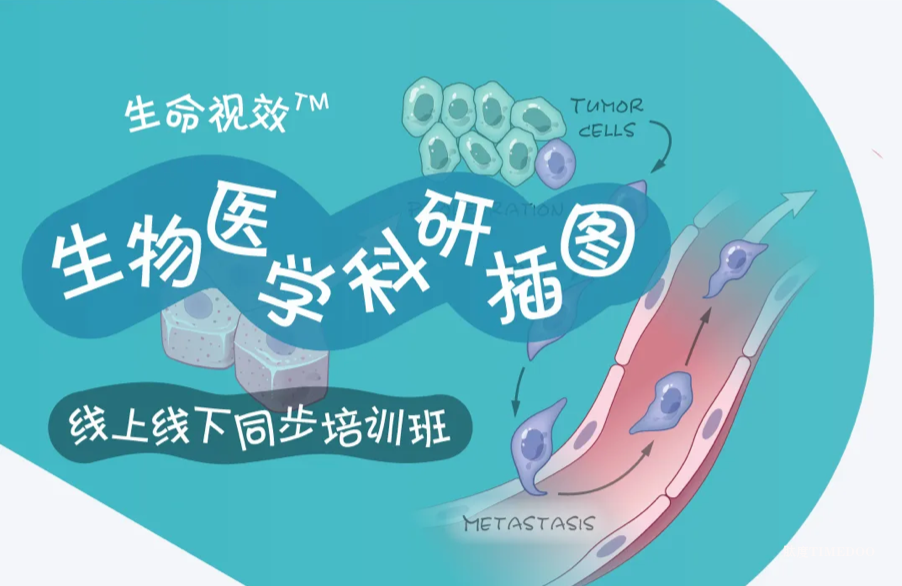 2026年1月17-18日·武汉·生物医学插图培训班（线上线下同步）