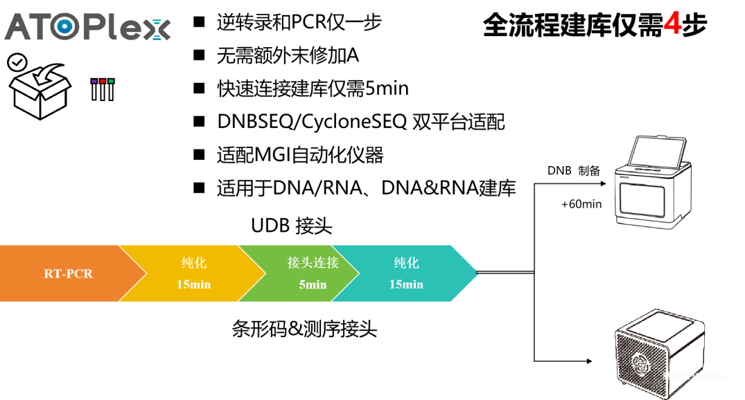 印度尼帕病毒疫情告急,华大智造ATOPlex靶向+宏基因组方案双线筑牢防控防线-肽度TIMEDOO