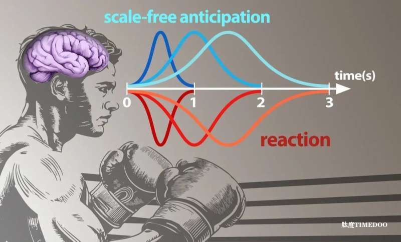 《PNAS》：大脑如何预判未来？科学家揭示跨时间尺度的概率预测机制