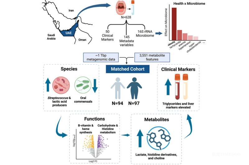《Cell Reports》:科学家发现口腔菌群异象,或成肥胖早期预警新靶点-肽度TIMEDOO