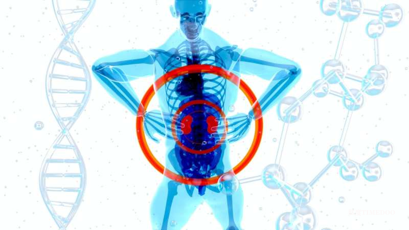 “粪便”竟成抗癌神药？《Nature》子刊惊人发现：粪菌移植让肾癌生存期暴增1.5倍！