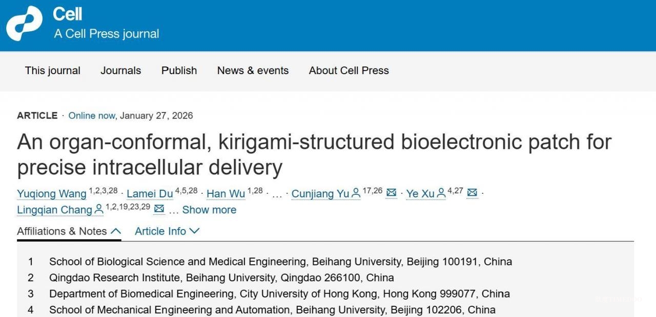 完美贴合复杂器官的“电子外衣”可实现药物精准递送-肽度TIMEDOO