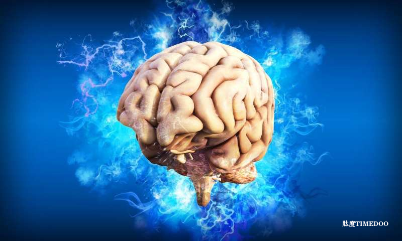 科学家研发“跳舞分子”纳米药物：通过静脉注射精准修复脑卒中损伤