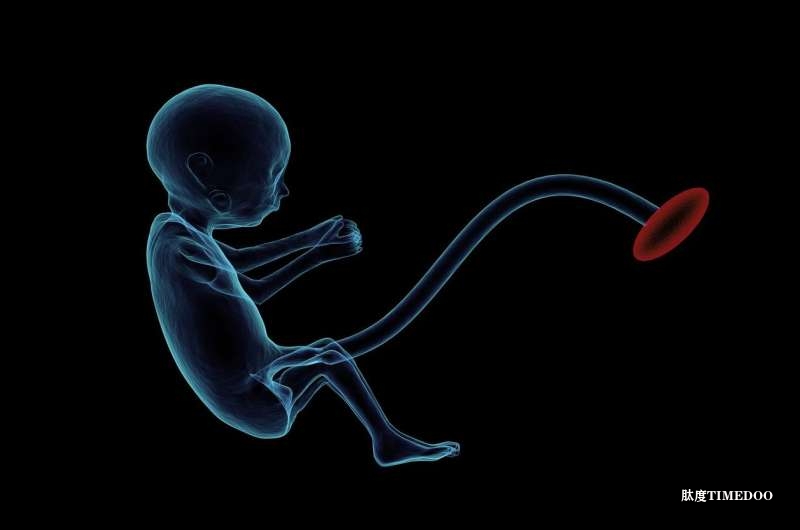 《自然-神经科学》：揭秘孕期“肠道-免疫轴”如何塑造胎儿大脑，男性或更易受损