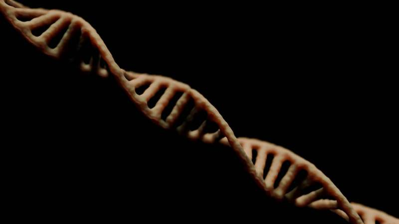 不只是突变，更是“选拔”！科学家绘制癌基因全景图：肿瘤竟会按需选择杀伤力