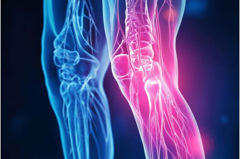 《自然-免疫学》：空间转录组学揭示类风湿性关节炎治疗耐药的新机制