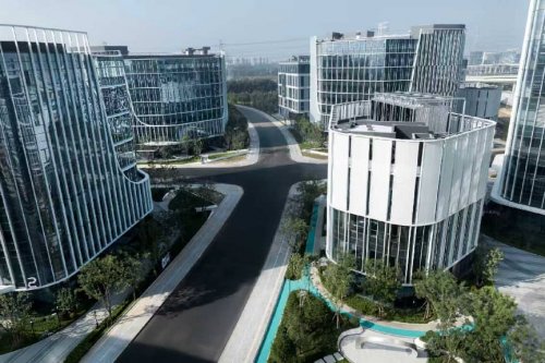 脑科学与脑机接口研讨会召开 昌发展集团着力构建产学研用协同生态-肽度TIMEDOO