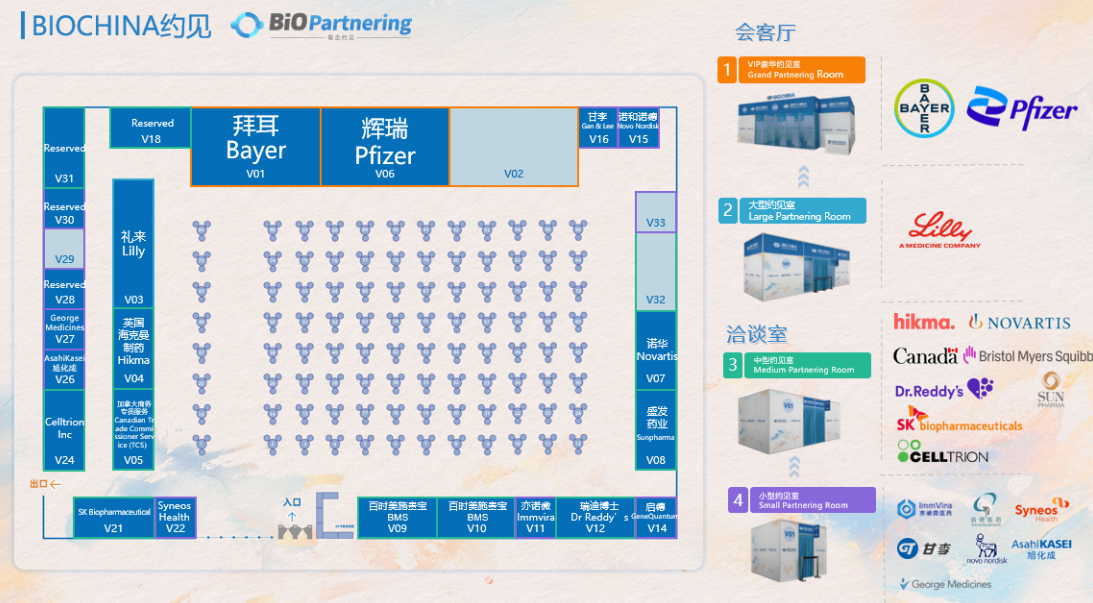 巨头云集，链接全球！这些MNC齐聚BIOCHINA2026-肽度TIMEDOO