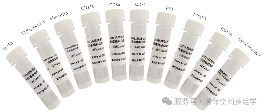 茵菲多组学获5100万元融资,构建