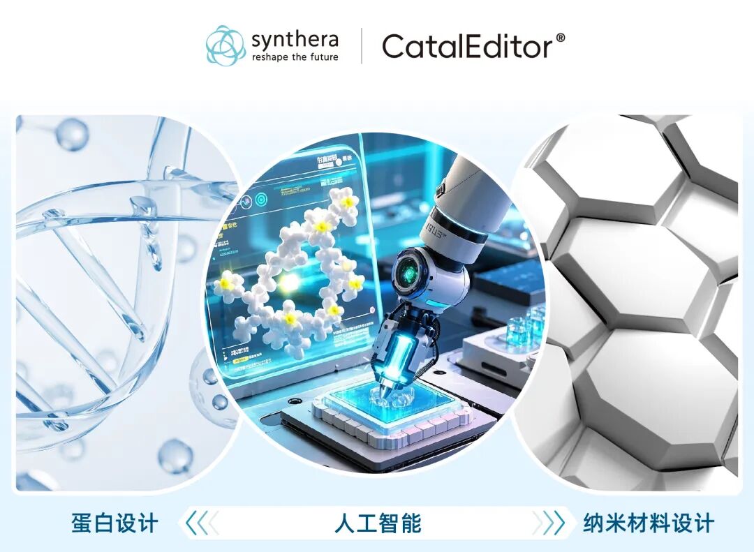 合成纪元完成数千万元Pre-A轮融资,以“蛋白×材料”重塑工业边界-肽度TIMEDOO