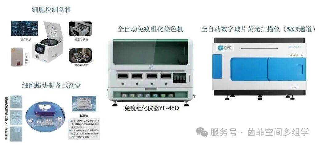 茵菲多组学获5100万元融资,构建