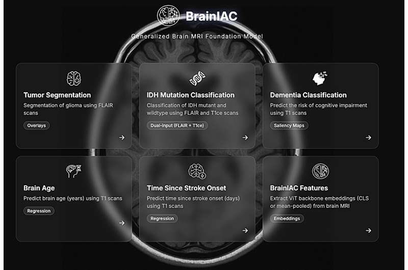 《自然-神经科学》：哈佛团队开发 BrainIAC 基础模型，开启神经影像 AI 的“通用时代”