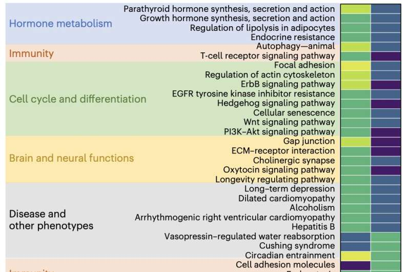 揭秘创伤的“分子烙印”，86 种 micro-RNA 关联社会逆境与 PTSD 严重程度