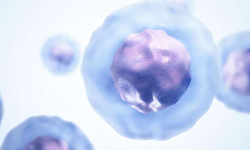 Nature Immunology|颠覆传统认知，MHC I 类分子缺失竟成 CD4+ T 细胞诱导“铁死亡”的触发开关