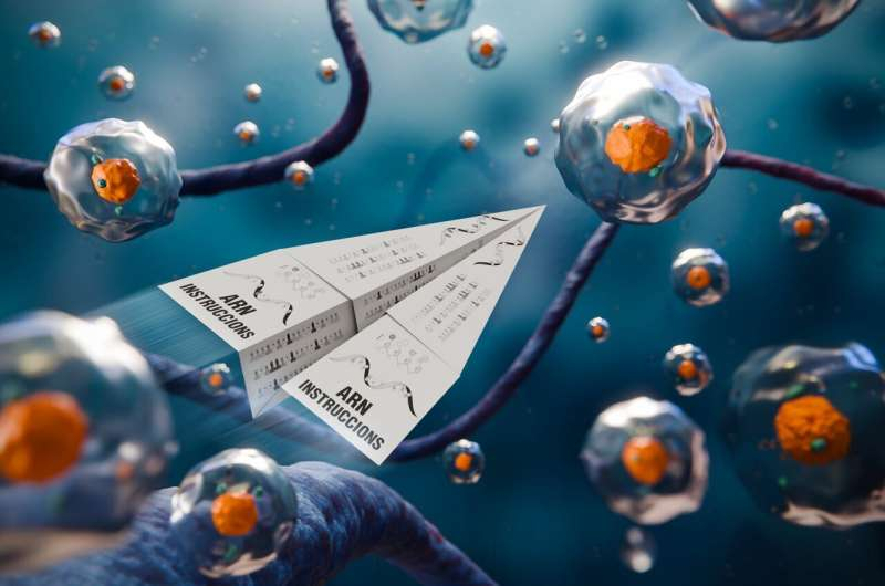 《自然-通讯》：跳过“编辑器”看“结果”，科学家绘制肿瘤RNA剪接调控新图谱