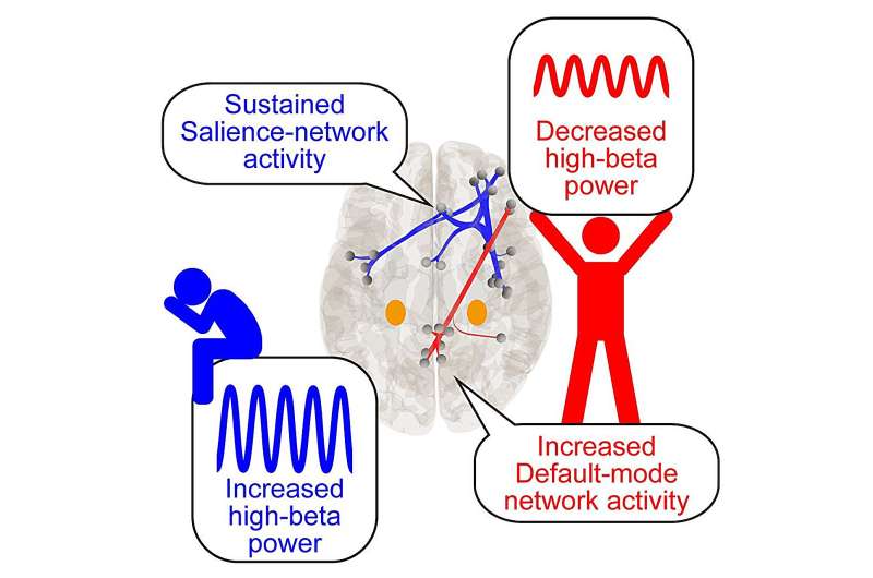 《PNAS》：大脑康复存在“黄金一小时”，日本学者揭示压力后的“韧性窗口”