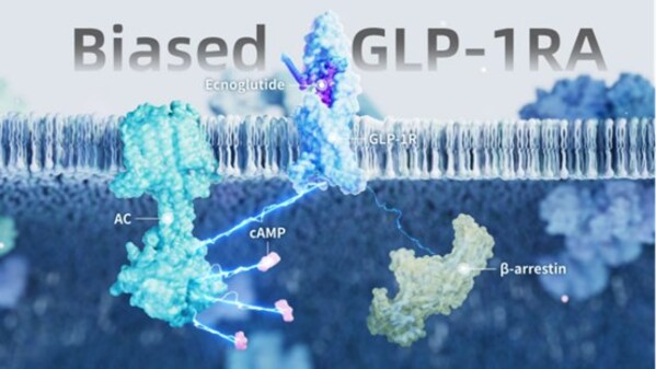 全球首个偏向型GLP-1减重药物先维盈®获批上市