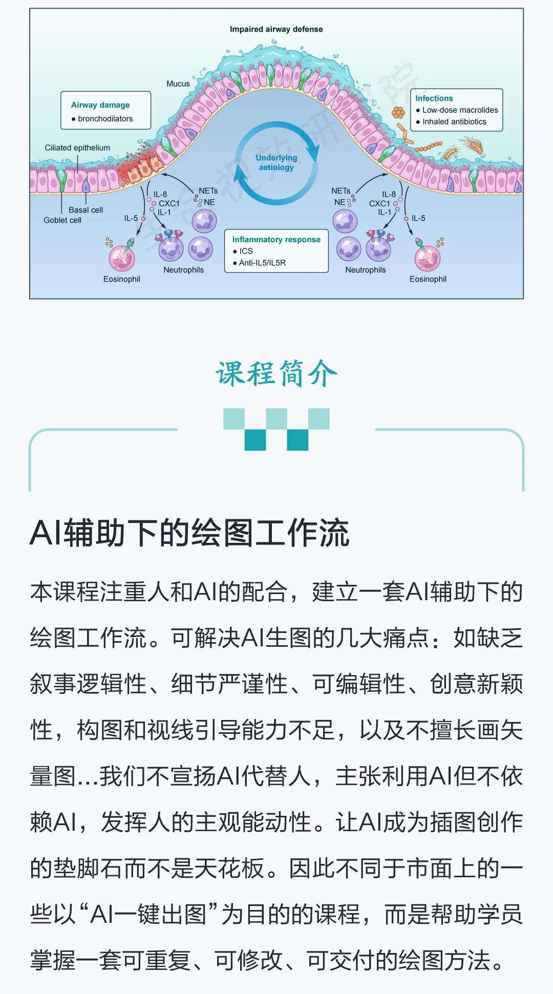 [6月]“AI赋能科研插图设计”训练营即将开课-肽度TIMEDOO