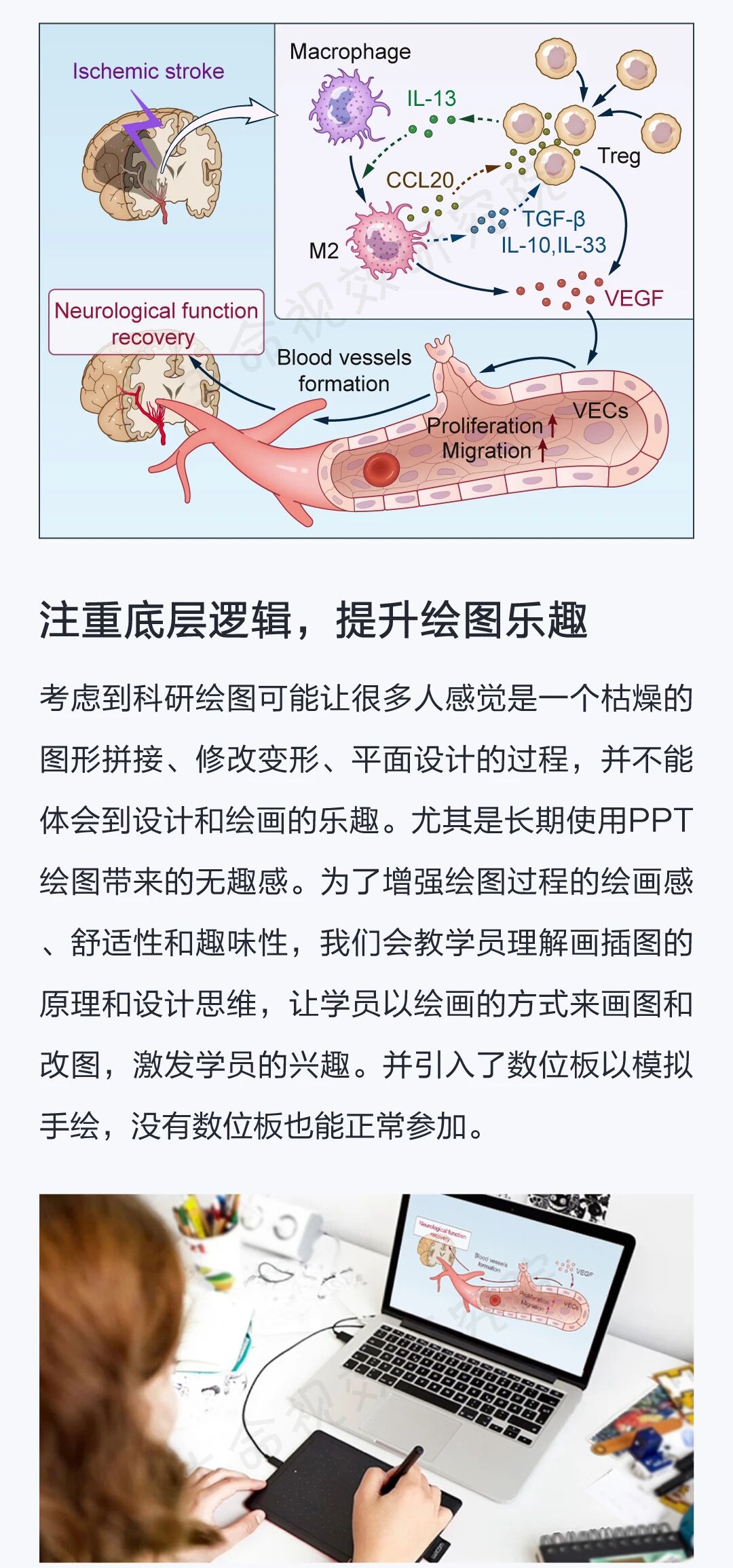 [6月]“AI赋能科研插图设计”训练营即将开课-肽度TIMEDOO